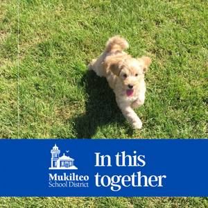 Meet your Posher, Bridgett